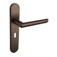 Bronzen Deurbeslag met schild